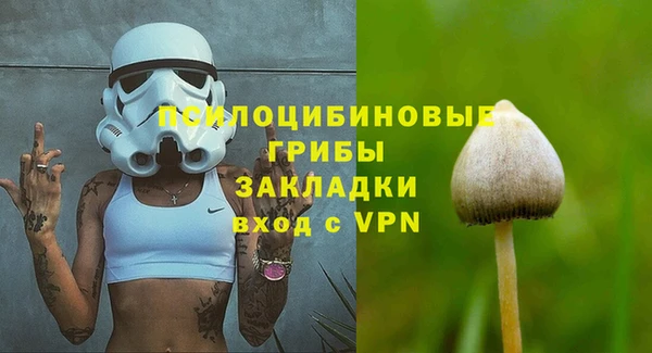 прущие крисы Куйбышев